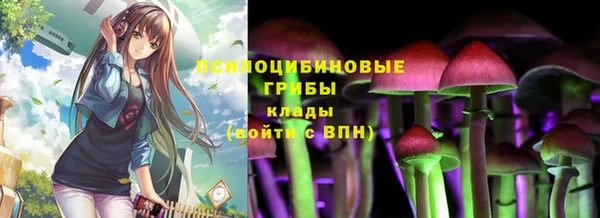 крисы Надым