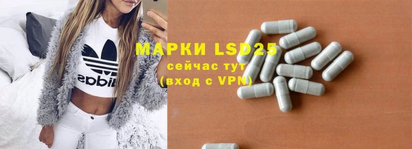 крисы Надым