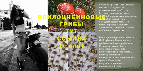 скорость Абдулино